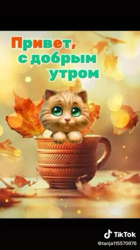 Прикольные С Добрым Утром Хорошего Дня Картинки кот в чашке