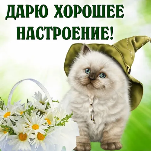 Прикольные С Добрым Утром Хорошего Дня Картинки кот в шляпе