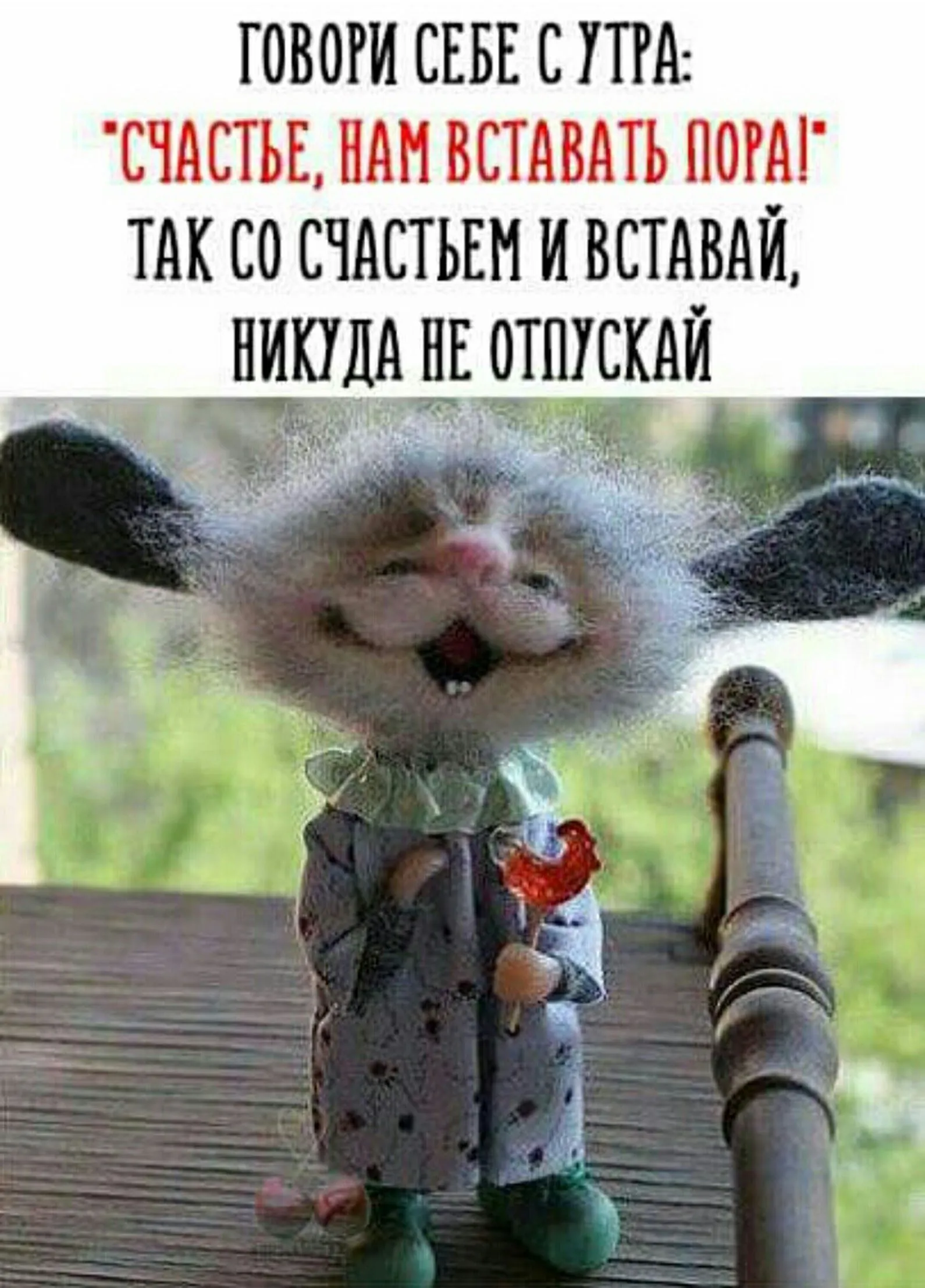 Хорошего Дня Картинки Смешные Позитивные