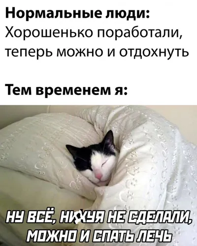 Ржачные Картинки кошка, лежащая в постели