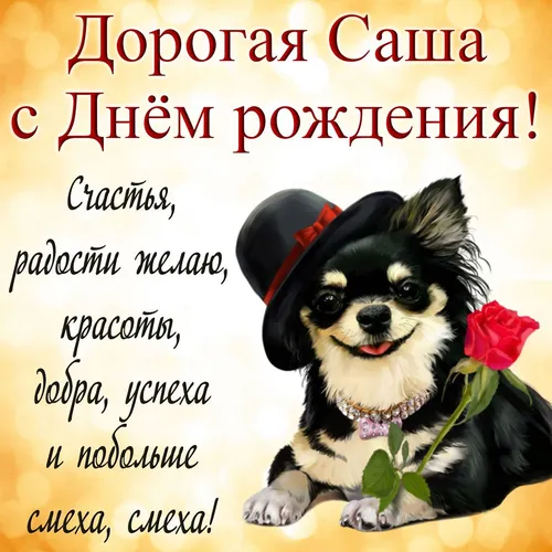 С Днем Рождения Александр Картинки собака в шляпе с розой