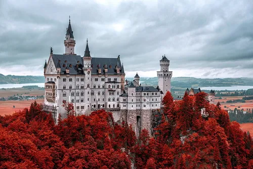 Самые Красивые Картинки замок, окруженный красными цветами, на заднем плане замок Нойшванштайн