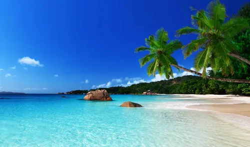 Самые Красивые Картинки пляж с пальмами и водоемом