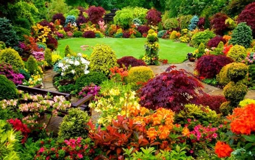 Самые Красивые Картинки сад разноцветных цветов