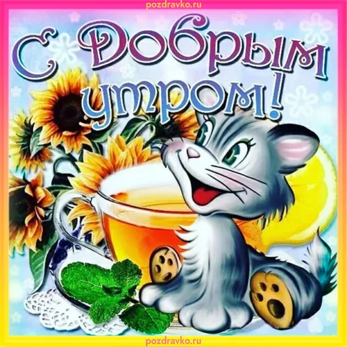 Смешные С Добрым Утром Картинки обложка книги с мультяшной собачкой и цветами