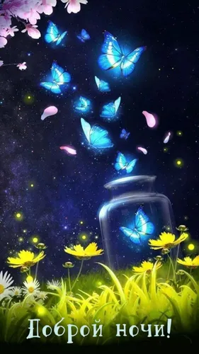 Спокойной Ночи Красивые Необычные Картинки синий фонарь в окружении желтых цветов