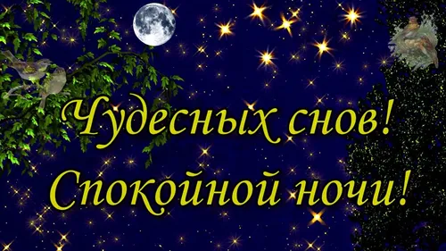 Спокойной Ночи Красивые Необычные Картинки дерево с огнями и луной