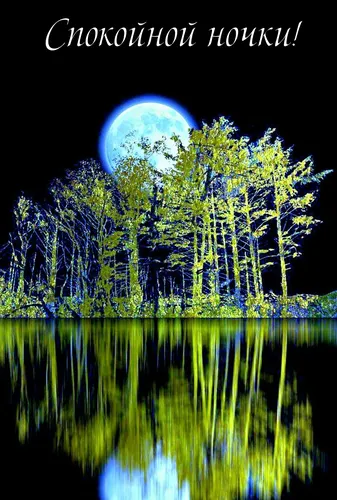 Спокойной Ночи Красивые Необычные Картинки водоем с деревьями вокруг него и луной на заднем плане