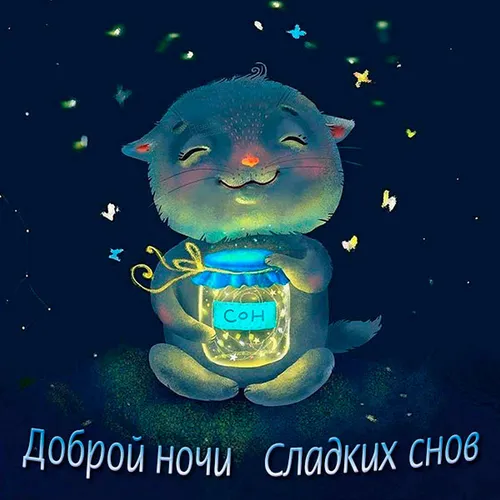 Спокойной Ночи Красивые Необычные Картинки кошка в одежде