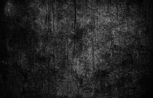 Черный Фон Картинка Картинки черно-белое фото деревьев