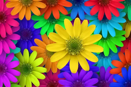 Яркие Картинки группа разноцветных цветов