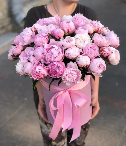 Пионы Фото человек, держащий букет розовых цветов