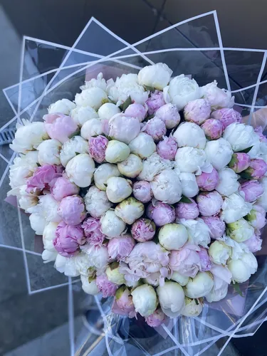 Пионы Фото букет белых цветов
