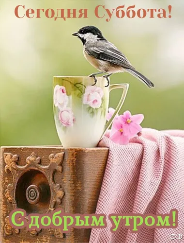 Доброе Утречко Картинки птица, сидящая на вазе