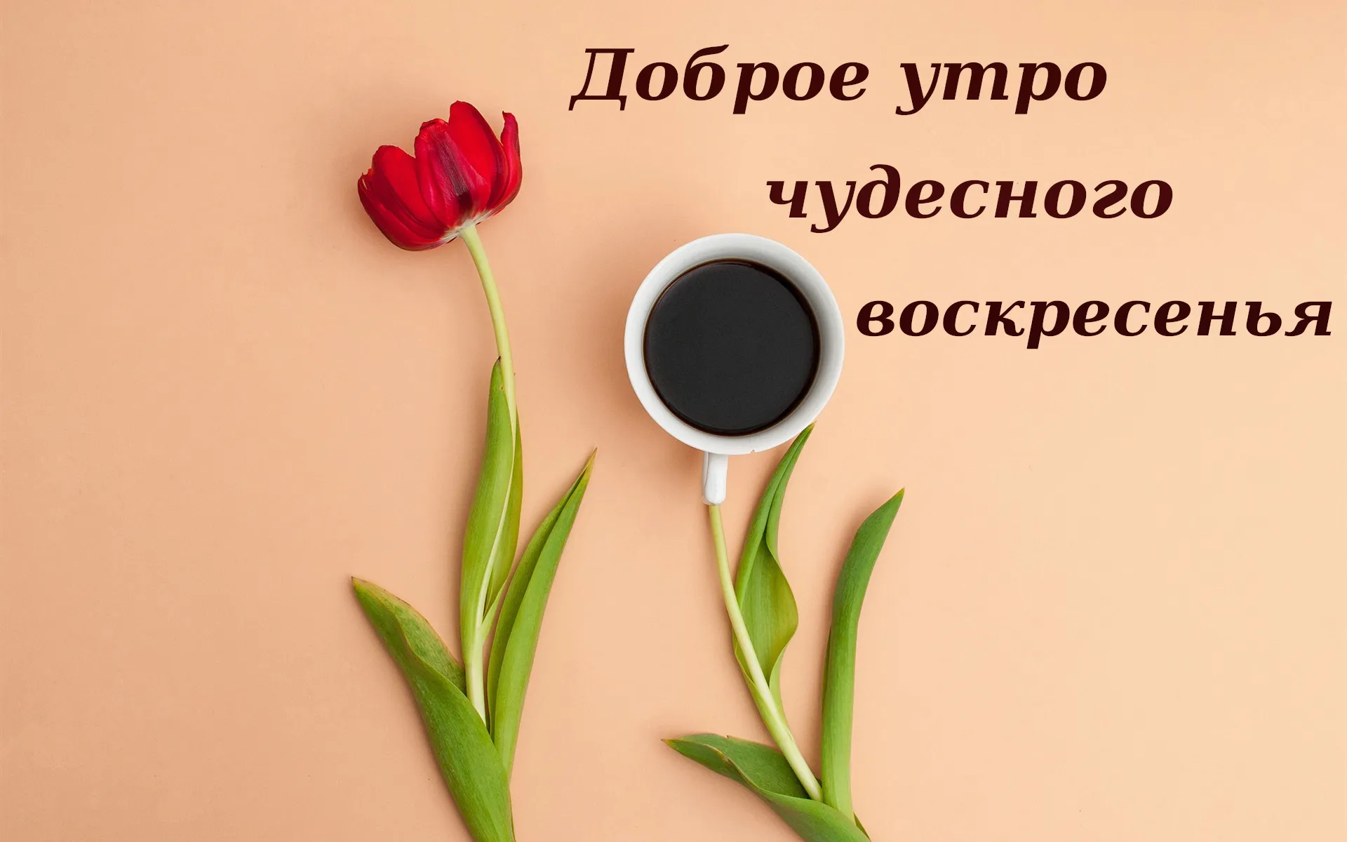 Доброе воскресенье