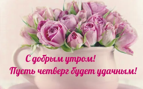 Доброе Утро Четверг Картинки букет розовых цветов