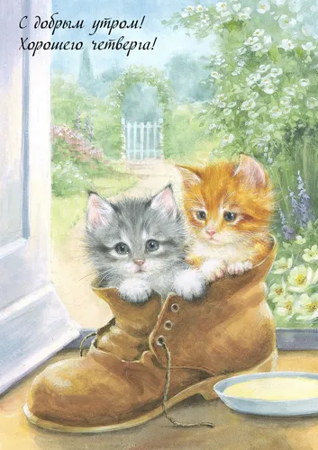 Доброе Утро Четверг Картинки пара котят в корзине
