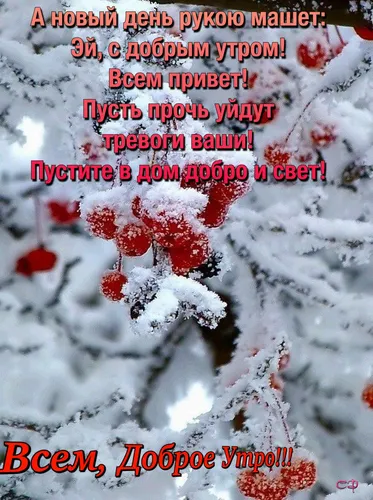 Зима Доброе Утро Картинки бело-красная карта
