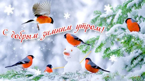 Зима Доброе Утро Картинки группа птиц, пролетающих над заснеженным деревом