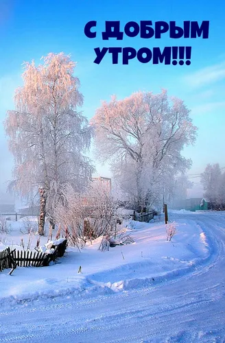 Зима Доброе Утро Картинки заснеженная дорога с деревьями по обе стороны