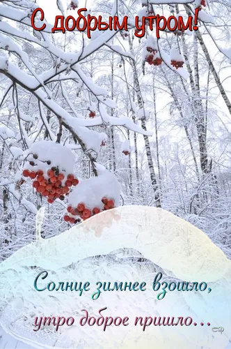 Зима Доброе Утро Картинки заснеженное дерево