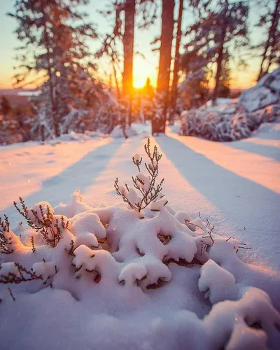 Зима Доброе Утро Картинки дорога со снегом на обочине