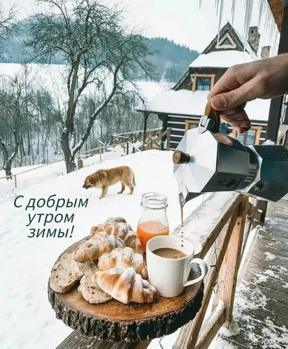 Зима Доброе Утро Картинки собака смотрит на человека, готовящего