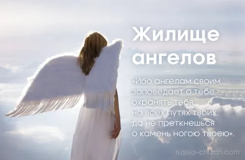Ангелов Картинки человек в белом платье с белой птицей на голове