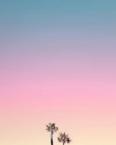 Для Сторис Картинки розовое небо с деревьями