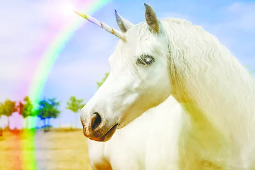 Единорогов Картинки белая лошадь с рогом единорога