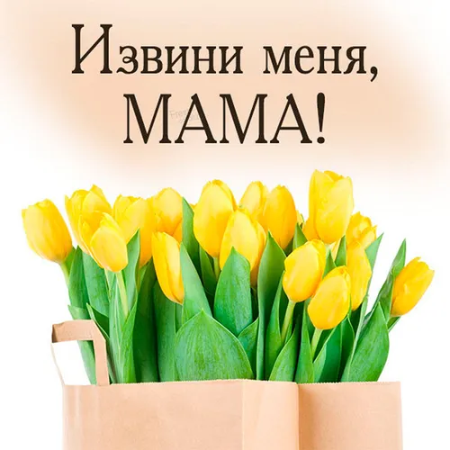 Мама Картинки коробка тюльпанов