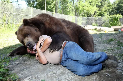 Медведя Картинки человек, лежащий на земле рядом с медведем