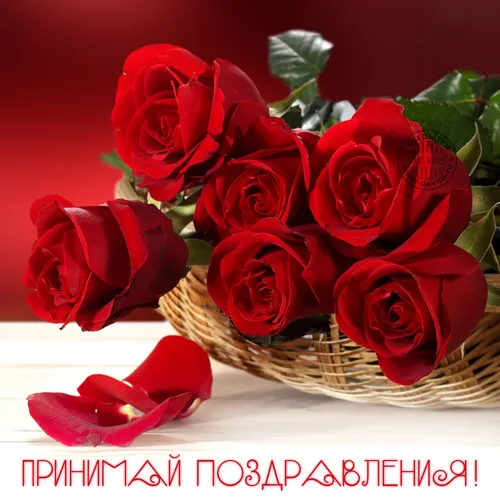 Поздравления Картинки корзина красных роз
