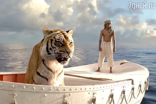 Про Жизнь Картинки тигр на лодке
