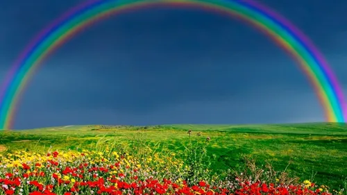 Радуги Картинки радуга над цветочным полем