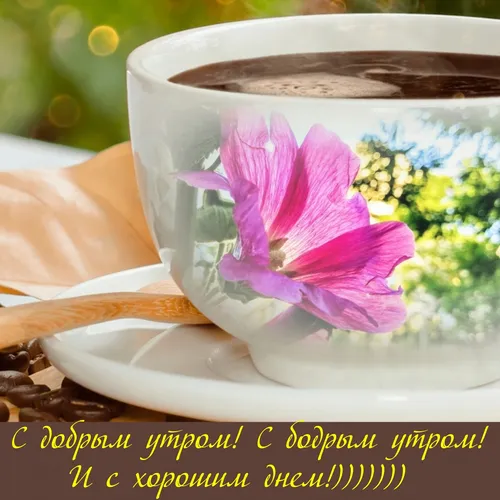 С Добрым Днем Картинки чашка чая с цветком