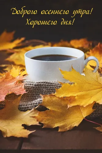 С Добрым Осенним Утром Картинки чашка кофе на куче листьев
