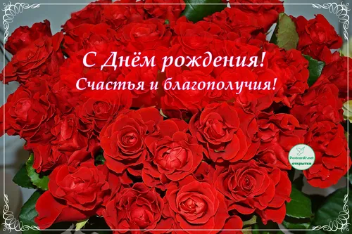 С Др Картинки букет красных роз