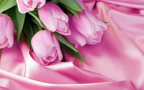 С Наступающим 8 Марта Картинки розовый цветок крупным планом