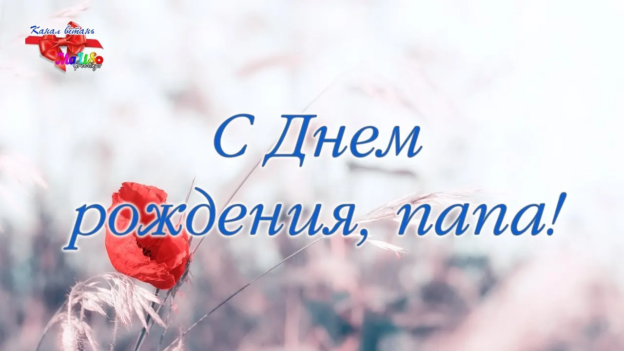 Папа папочка ты мой родной. Папа папочка ты мой родной. Стих про папу. Серые глаза рассвет стих. Любимому папе.
