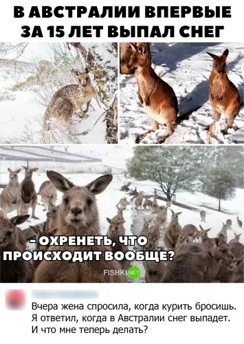 Угарные Картинки арт