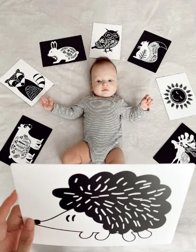 Черно Белые Для Новорожденных Картинки эстетика