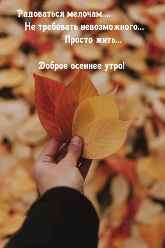Сдобрым Осенним Утром Картинки рука, держащая лист