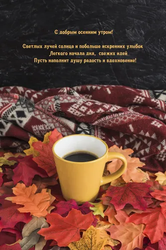 Сдобрым Осенним Утром Картинки чашка кофе на одеяле