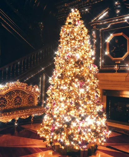 Красивая Новогодняя Картинка Картинки большая рождественская елка в здании