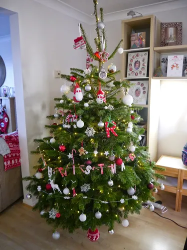 Красивая Новогодняя Картинка Картинки украшенная елка в комнате