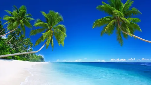 Красивые На Рабочий Стол Картинки пляж с пальмами и голубой водой