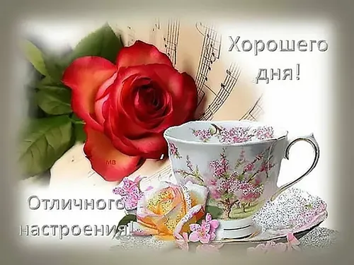 Красивые Хорошего Дня И Настроения Картинки роза и чашка