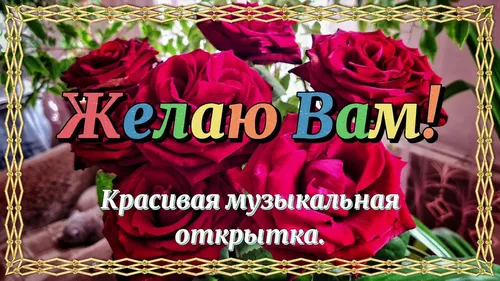 Красивые Хорошего Дня И Настроения Картинки букет роз