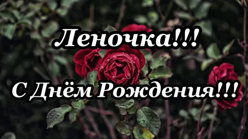 Лена С Днем Рождения Картинки группа красных роз